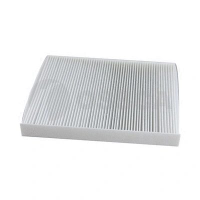 Filter, cabin air (42123)
