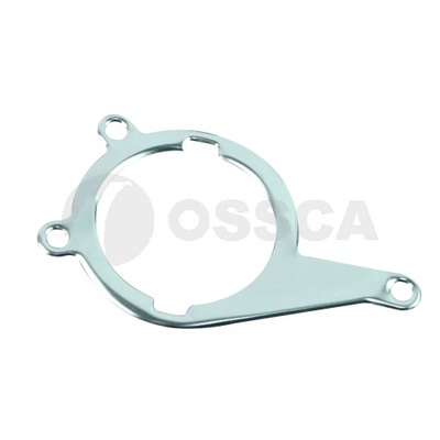 Gasket, vacuum pump (48981)