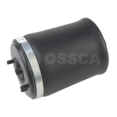 Air Spring, suspension (17045)