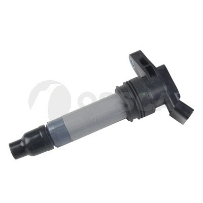 Ignition Coil (48450)
