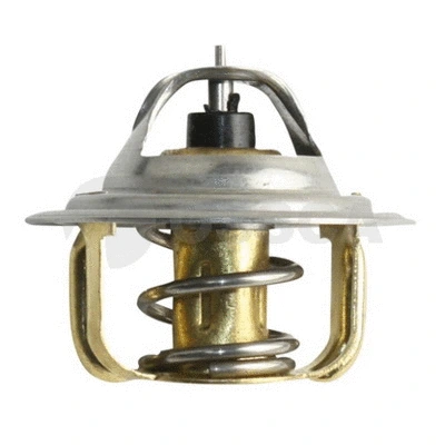 Thermostat, coolant (07256)