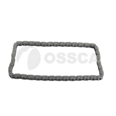 Timing Chain (12921)