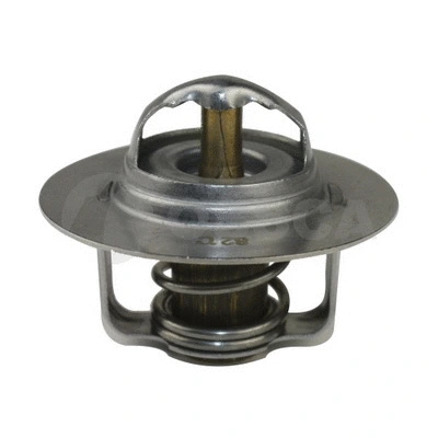 Thermostat, coolant (02182)