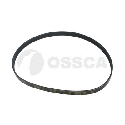 V-Belt (04695)