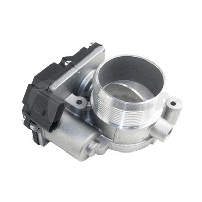 Throttle Body (48365)