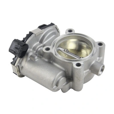 Throttle Body (51404)