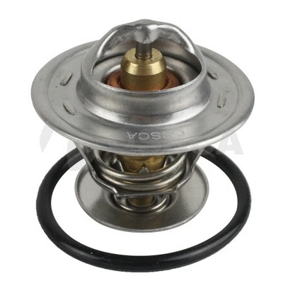 Thermostat, coolant (10638)