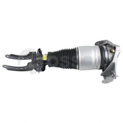 Air Suspension Strut (25745)