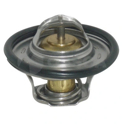Thermostat, coolant (01081)