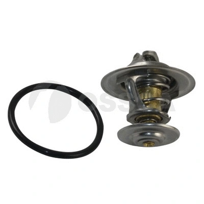 Thermostat, coolant (08113)