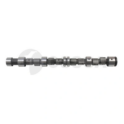Camshaft (11199)