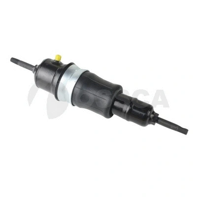 Air Suspension Strut (19582)