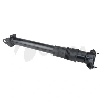 Air Suspension Strut (25287)