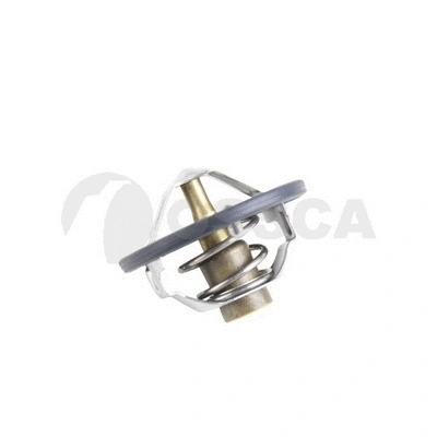 Thermostat, coolant (10570)