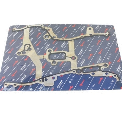 Gasket, timing case (29340)