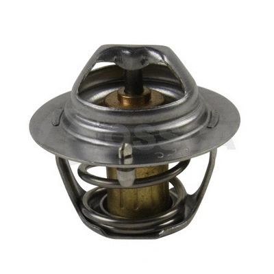 Thermostat, coolant (21020)