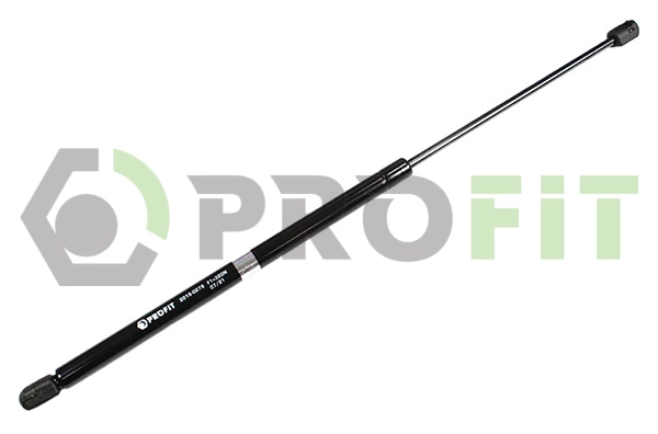 Gas Spring, boot/cargo area (2015-0279)