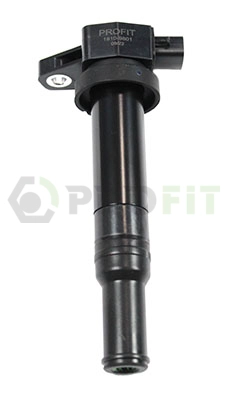 Ignition Coil (1810-9801)