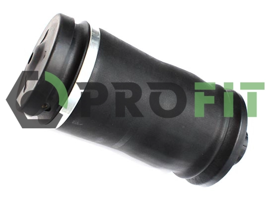 Air Suspension Strut (2007-0726)