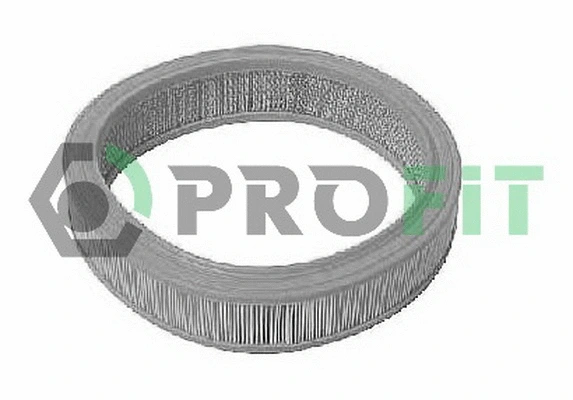 Air Filter (1511-1001)