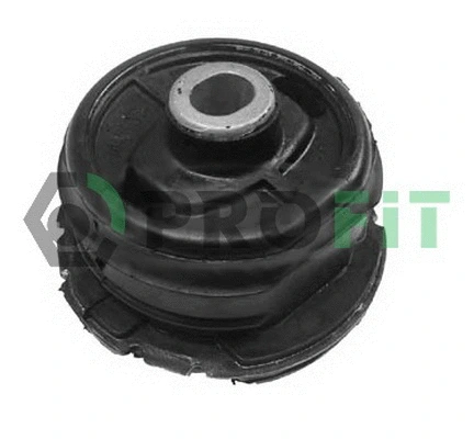 Bushing, axle beam (2307-0490)