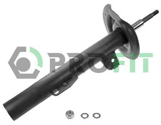 Shock Absorber (2004-1174)