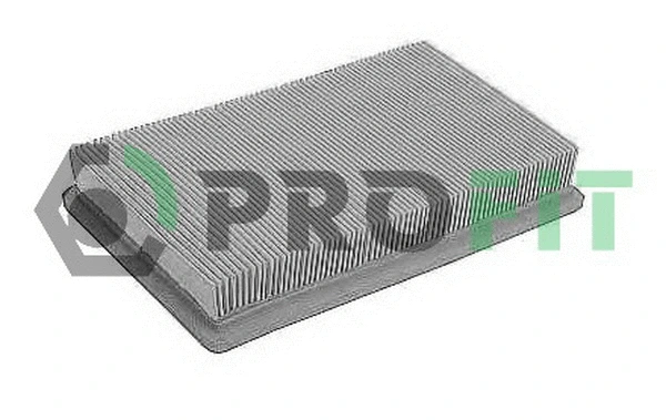 Air Filter (1512-2502)