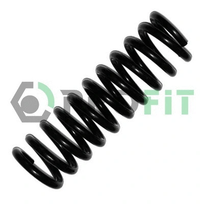 Suspension Spring (2010-0111)