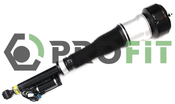 Air Suspension Strut (2007-4915)