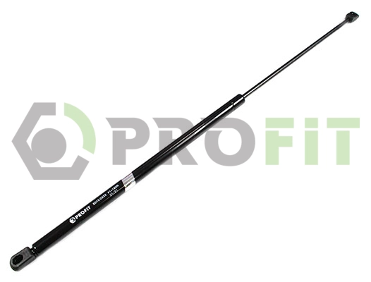 Gas Spring, boot/cargo area (2015-0333)