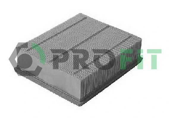 Air Filter (1512-1009)