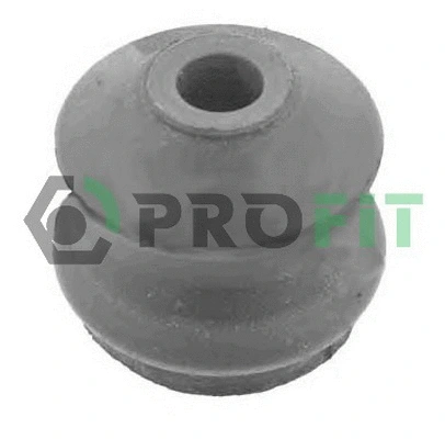 Bushing, axle beam (2307-0353)