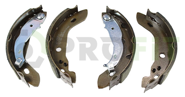Brake Shoe Set (5001-0569)