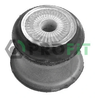 Bushing, axle beam (2307-0359)