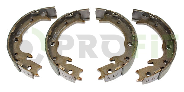 Brake Shoe Set (5001-4019)