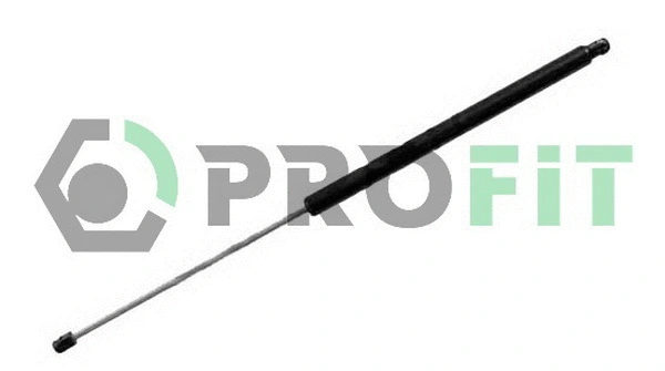Gas Spring, boot/cargo area (2015-0107)