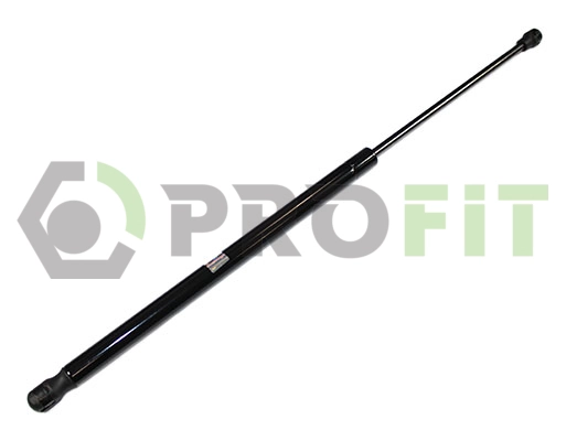 Gas Spring, boot/cargo area (2015-0213)