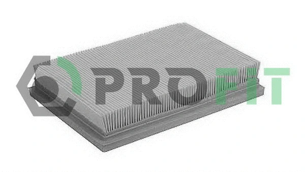 Air Filter (1512-2619)