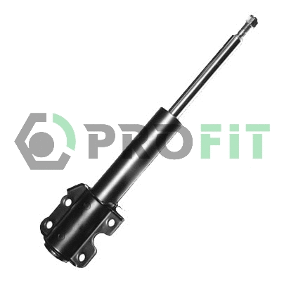 Shock Absorber (2004-1163)