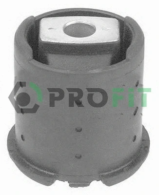 Bushing, axle beam (2307-0367)