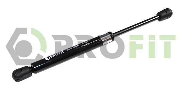 Gas Spring, boot/cargo area (2015-0205)