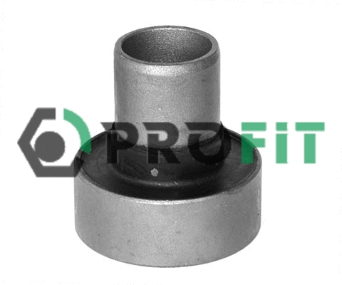 Bushing, axle beam (2307-0880)