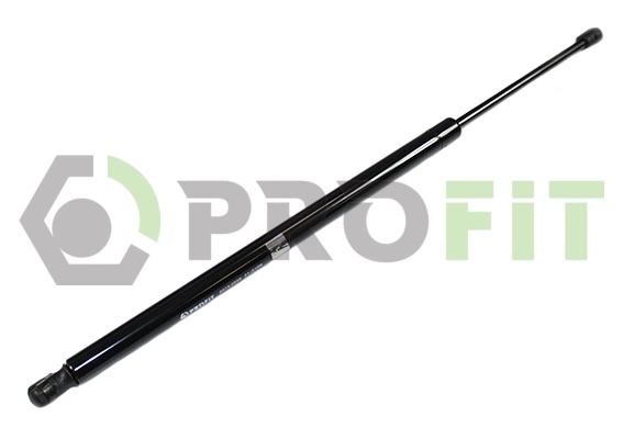 Gas Spring, boot/cargo area (2015-0226)