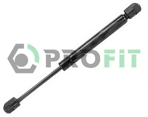 Gas Spring, boot/cargo area (2015-0022)