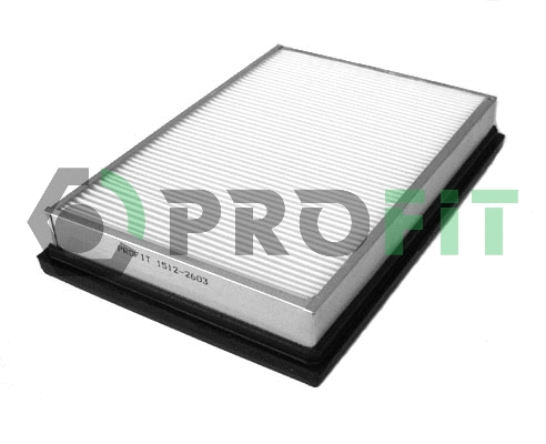 Air Filter (1512-2603)