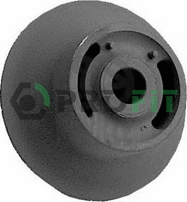 Bushing, axle beam (2307-0157)