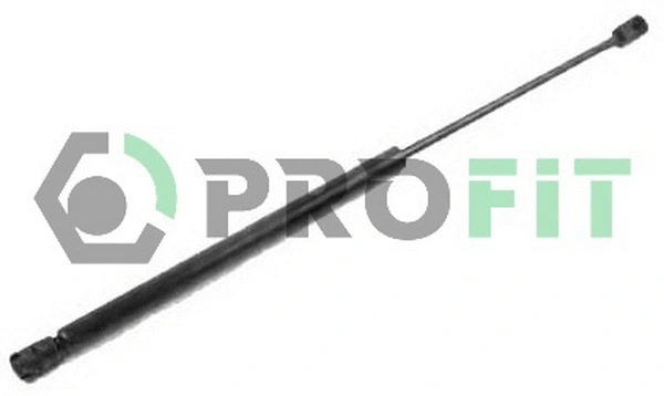 Gas Spring, boot/cargo area (2015-0112)