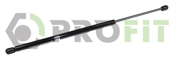 Gas Spring, boot/cargo area (2015-0246)