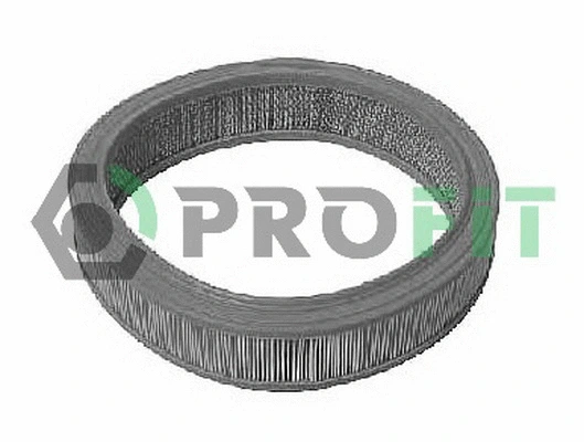 Air Filter (1512-1031)