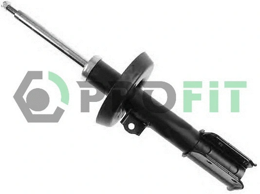 Shock Absorber (2004-1109)